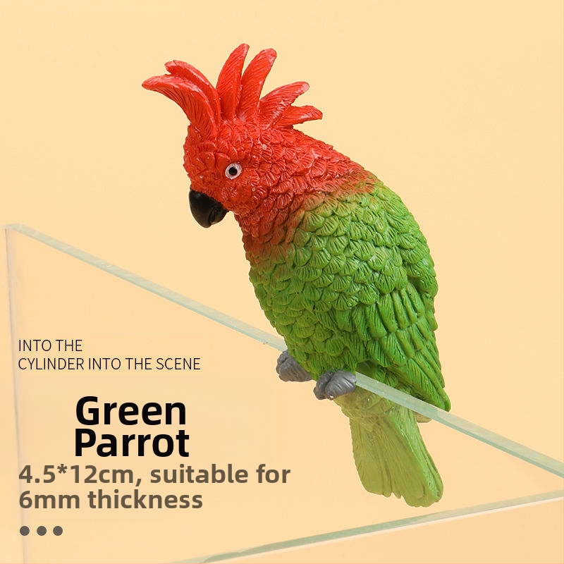 Akvariumo peizažas, katės kuprinė, akvariumo šoniniai pakabinami papuošalai, akvariumo stalas