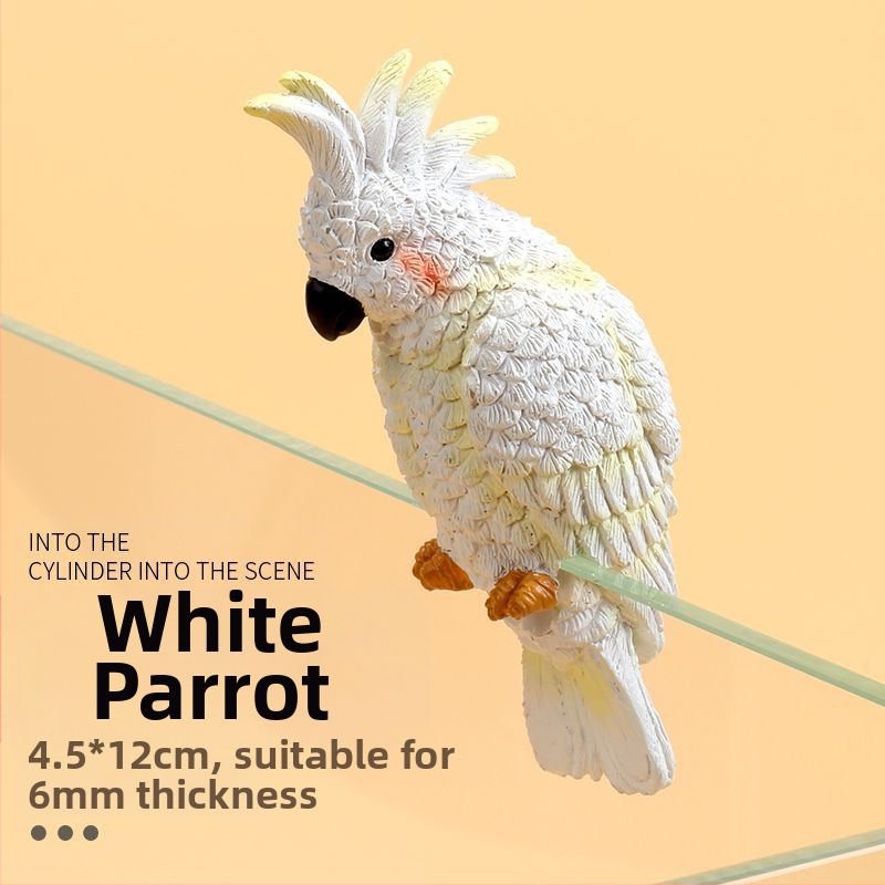 Akvariumo peizažas, katės kuprinė, akvariumo šoniniai pakabinami papuošalai, akvariumo stalas