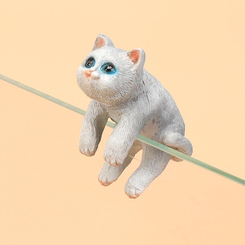 Akvariumo peizažas, katės kuprinė, akvariumo šoniniai pakabinami papuošalai, akvariumo stalas