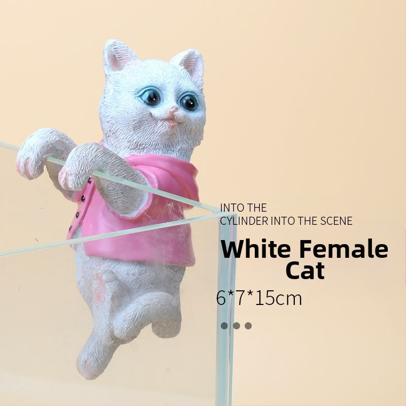 Akvariumo peizažas, katės kuprinė, akvariumo šoniniai pakabinami papuošalai, akvariumo stalas