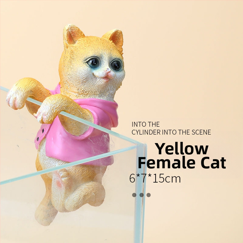 Akvariumo peizažas, katės kuprinė, akvariumo šoniniai pakabinami papuošalai, akvariumo stalas