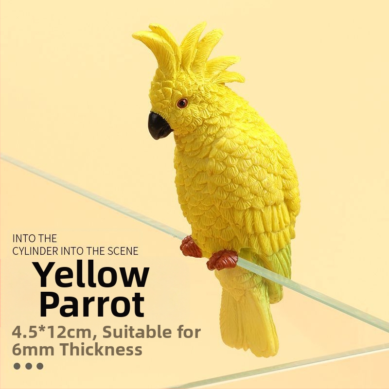 Akvariumo peizažas, katės kuprinė, akvariumo šoniniai pakabinami papuošalai, akvariumo stalas