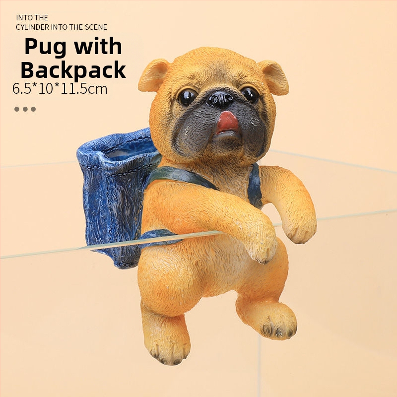 Akvariumo peizažas, katės kuprinė, akvariumo šoniniai pakabinami papuošalai, akvariumo stalas