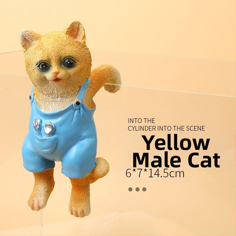 Akvariumo peizažas, katės kuprinė, akvariumo šoniniai pakabinami papuošalai, akvariumo stalas