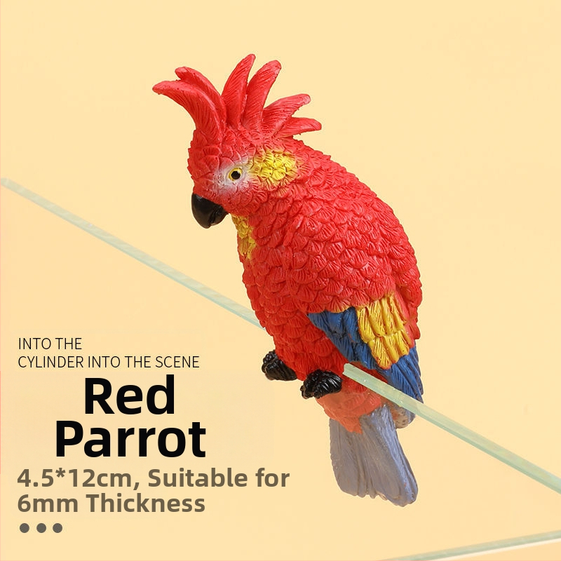 Akvariumo peizažas, katės kuprinė, akvariumo šoniniai pakabinami papuošalai, akvariumo stalas