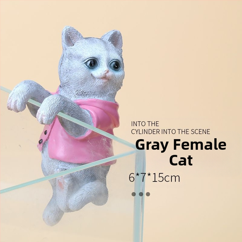 Akvariumo peizažas, katės kuprinė, akvariumo šoniniai pakabinami papuošalai, akvariumo stalas