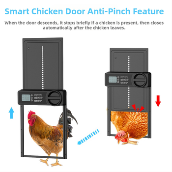 Kanamaja uks Elektriline ajastusega lemmikloomauks Nutikas kanauks Pigistamisvastane Amazon Piiriülene kuummüük Loominguline lemmikloomatarbed