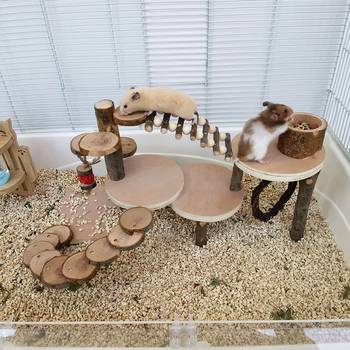 Tarpvalstybinis Amazonės žiurkėno žaislas, obuolių medienos laipiojimo kopėčios, žiurkėno narvas, peizažas, medinė platforma, pabėgimo molinis žaislas