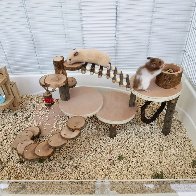 Tarpvalstybinis Amazonės žiurkėno žaislas, obuolių medienos laipiojimo kopėčios, žiurkėno narvas, peizažas, medinė platforma, pabėgimo molinis žaislas