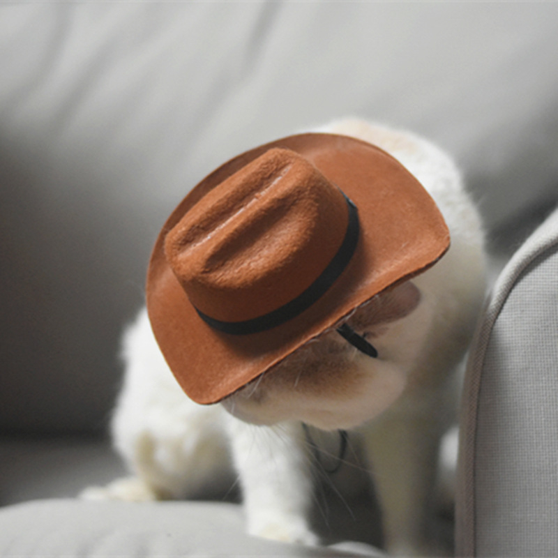 Pălărie de cowboy pentru pisică, accesorii pentru cap de animal de companie, pălărie de cowboy western, fotografie, câine, cască pentru câini mici, pălărie pentru animale de companie