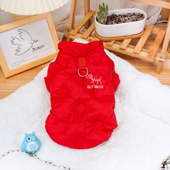 Sügis- ja talvised lemmikloomariided kutsika-kassiriided lainelised täidisega sametist jalgadega puuvillase polsterdusega jope kui karu ja kaisukaru väikese koera hulgimüük