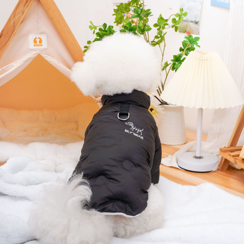 Sügis- ja talvised lemmikloomariided kutsika-kassiriided lainelised täidisega sametist jalgadega puuvillase polsterdusega jope kui karu ja kaisukaru väikese koera hulgimüük