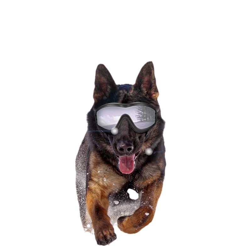 Kisállat szemüveg kutya szélálló napszemüveg kutya védőszemüveg teddy fadou corgi fotó aranyos kutya napszemüveg