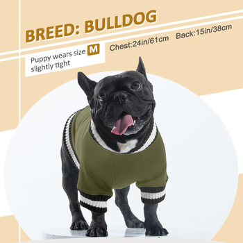 FUAMEY koera pullover dressipluus koera talve kampsun soe koerariided koera vest kutsika pullover