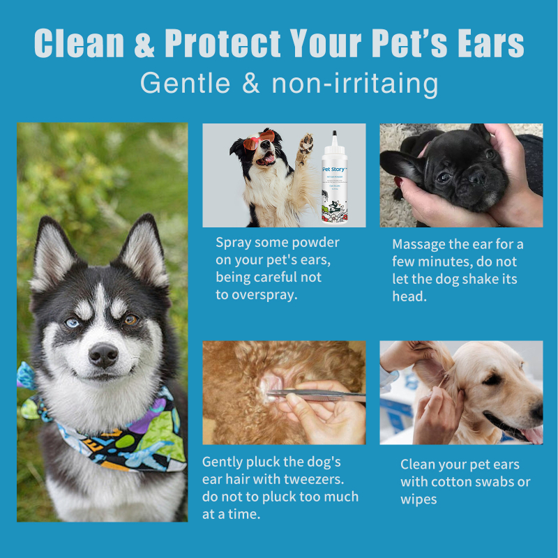 Lemmikloomade kõrvade väljatõmbamise karvapulber kõrvakanalite puhastamine sügelusevastane kassi-koera valutu karvaeemalduspulber kõrvahooldus karvaeemaldus kõrvapuhastuspulber