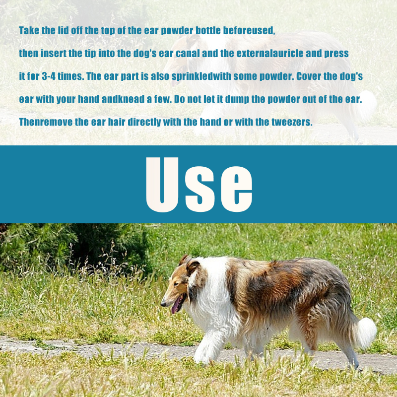 Lemmikloomade kõrvade väljatõmbamise karvapulber kõrvakanalite puhastamine sügelusevastane kassi-koera valutu karvaeemalduspulber kõrvahooldus karvaeemaldus kõrvapuhastuspulber