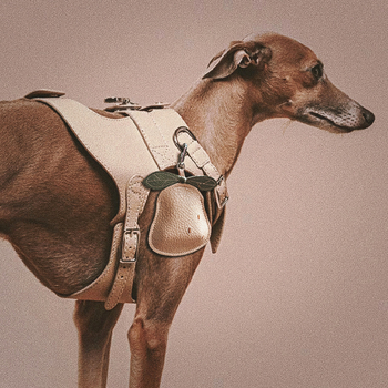 Преносима чанта за разходка на кучета, модна PU кожена чанта за събиране на изпражнения, торба за боклук, чанта за разпределение на отпадъци, чанта за теглене на въжета, висяща чанта, чанта за домашни любимци