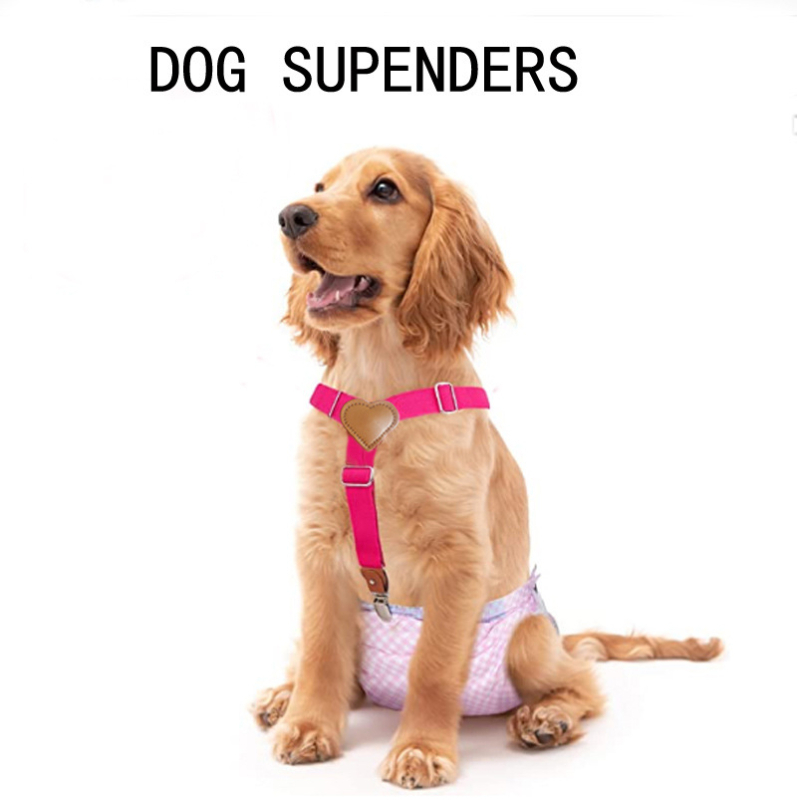 Vrhunski kožni pribor za kućne ljubimce, novi pelene s remenom protiv pada, podesivim fiziološkim hlačama za pse, kopčom za remen