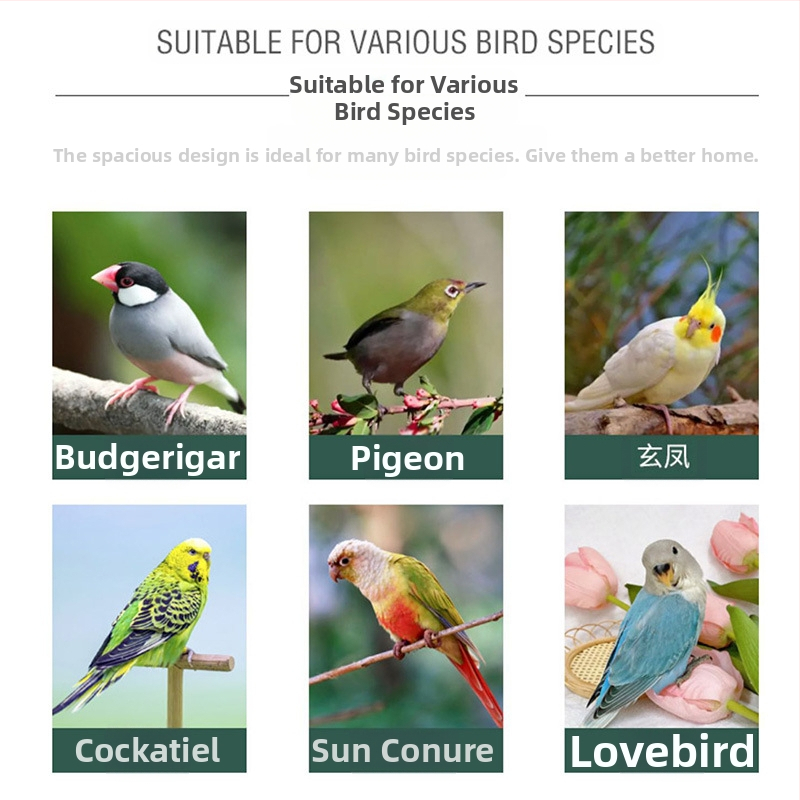 Трансгранично дървено птиче гнездо, удебелено папагалско малко гнездо, пасторално, екологично чисто външно гнездо, къща за птици, клетка за птици, къщичка за птици