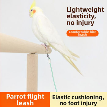 Ελαστικό σχοινί για παπαγάλους, εξαιρετικά ελαφρύ, χωρίς πόδια, για εκπαίδευση, δακτύλιος ποδιών Xuanfeng με δέρμα τίγρης και παιωνία, αλυσίδα ποδιών, σχοινί για περπάτημα πουλιών