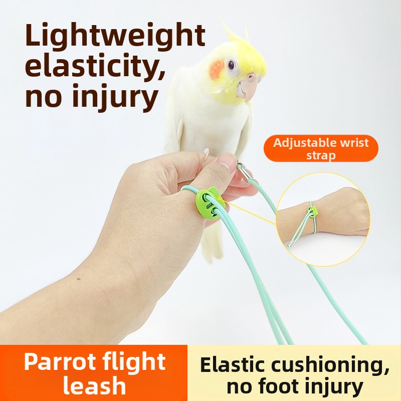 Uže za letenje papiga, elastično uže za stopala bez stopala, ultra lagani trening, Xuanfeng prsten za stopala od tigrove kože, božura, lanac za stopala, uže za hodanje ptica
