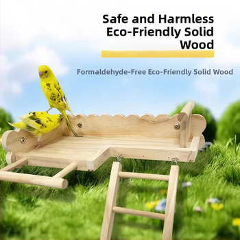 Μαύρος παπαγάλος Phoenix Peony από μασίφ ξύλο, κρεβάτι από δέρμα τίγρης, σκάλες αναρρίχησης, πλατφόρμα για κούρνια, κλουβί πουλιών, διακόσμηση, σκεύη πουλιών, προμήθειες