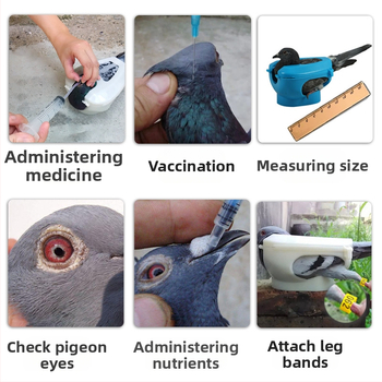 Εξοπλισμός Jinyu King Pigeon, κάτοχος περιστεριού, ένεση σίτισης φαρμάκων, πλαίσιο στερέωσης ματιών περιστεριού με προβολή εμβολίων, δέσμη περιστεριών