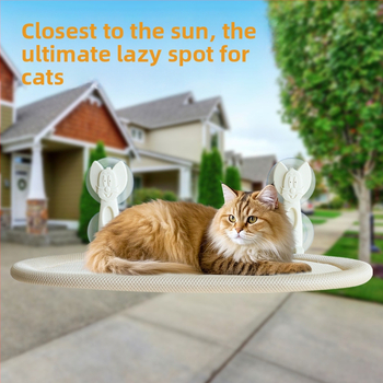 Διασυνοριακό Ζεστό Προϊόν, Αιώρα Universal για Γάτες για Όλες τις Εποχές, Τύπος Βεντούζας, Χωρίς Γροθιές, Εξοικονομεί Χώρο, Πτυσσόμενη και Αφαιρούμενη Φωλιά Γάτας και Αιώρα Γάτας