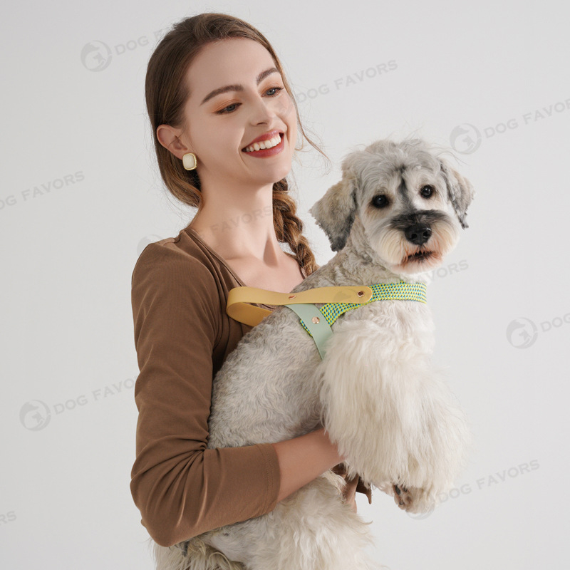 Prekogranični novi konop za vuču pasa, prsluk za kućne ljubimce, lanac za pse, mali i srednji pas, korgi, prsni remen za pse