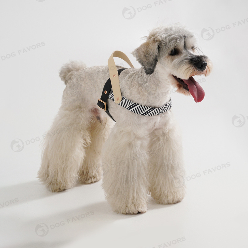 Prekogranični novi konop za vuču pasa, prsluk za kućne ljubimce, lanac za pse, mali i srednji pas, korgi, prsni remen za pse