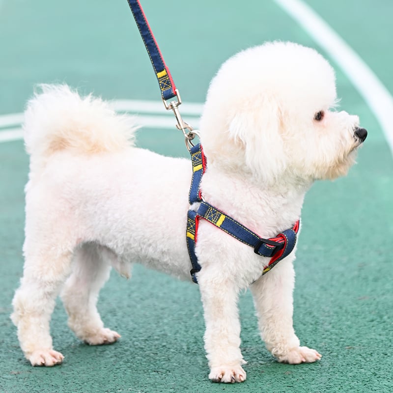 Lesă pentru câini, mare, mediu, mic, câine, lanț pentru câini, zgardă pentru câini, Golden Retriever, frânghie pentru câini de mers pe jos, consumabile pentru animale de companie