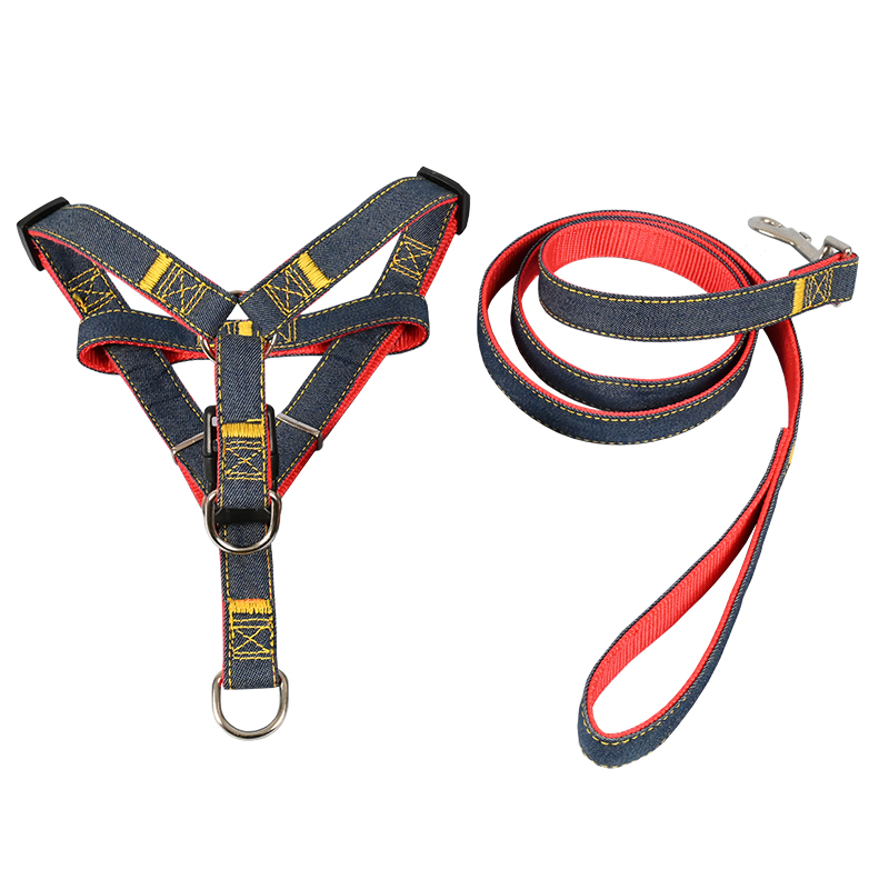 Koerarihm Suurtele Keskmistele Väikestele Koertele Kett Koerakaelarihm Teddy Kuldse Retriiveri Koerale Jalutusnöör Lemmikloomatarbed