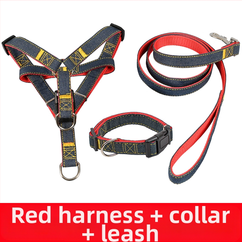 Koerarihm Suurtele Keskmistele Väikestele Koertele Kett Koerakaelarihm Teddy Kuldse Retriiveri Koerale Jalutusnöör Lemmikloomatarbed