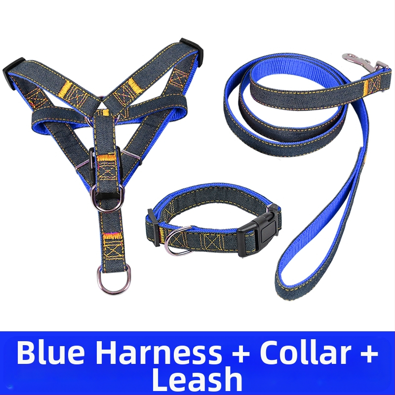 Koerarihm Suurtele Keskmistele Väikestele Koertele Kett Koerakaelarihm Teddy Kuldse Retriiveri Koerale Jalutusnöör Lemmikloomatarbed