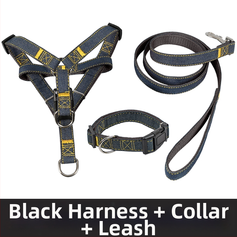 Koerarihm Suurtele Keskmistele Väikestele Koertele Kett Koerakaelarihm Teddy Kuldse Retriiveri Koerale Jalutusnöör Lemmikloomatarbed