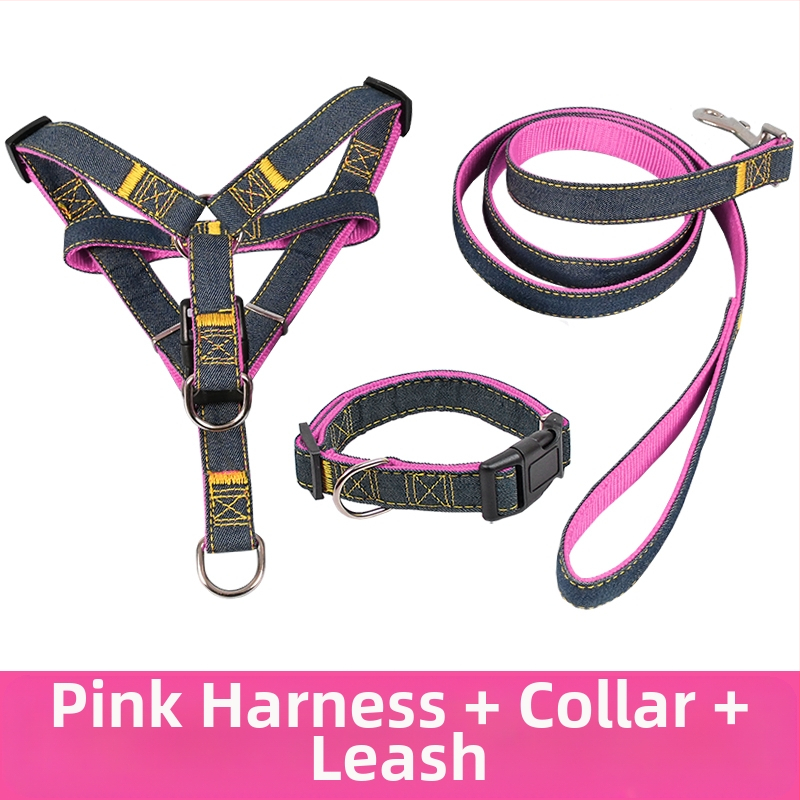 Koerarihm Suurtele Keskmistele Väikestele Koertele Kett Koerakaelarihm Teddy Kuldse Retriiveri Koerale Jalutusnöör Lemmikloomatarbed