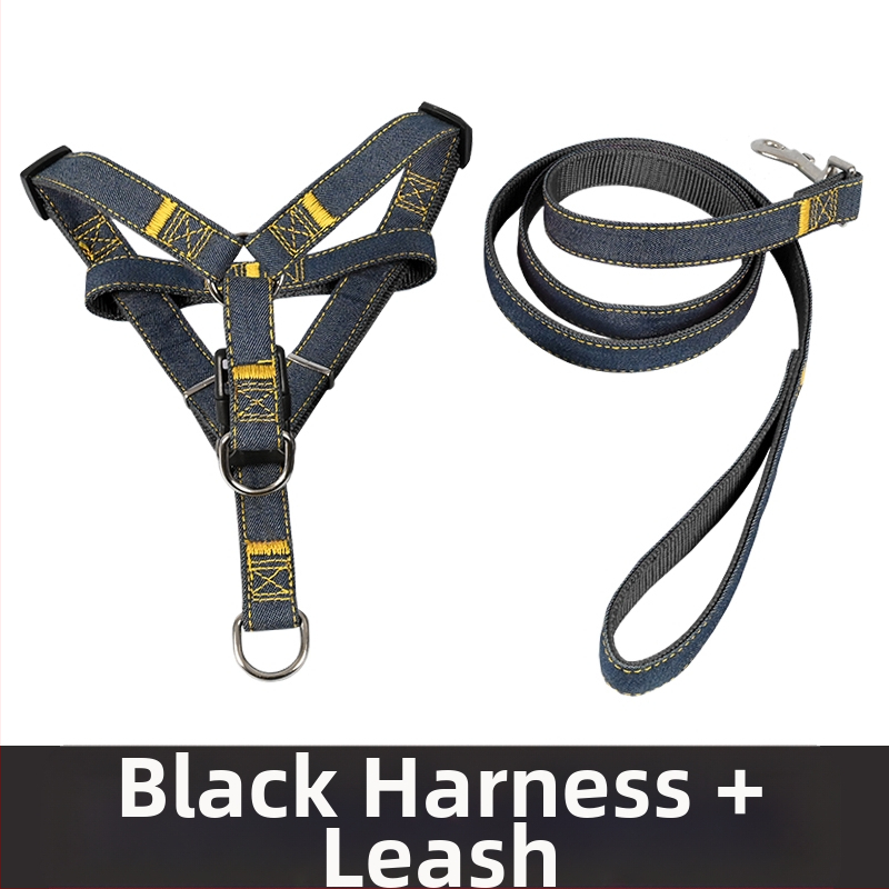 Koerarihm Suurtele Keskmistele Väikestele Koertele Kett Koerakaelarihm Teddy Kuldse Retriiveri Koerale Jalutusnöör Lemmikloomatarbed