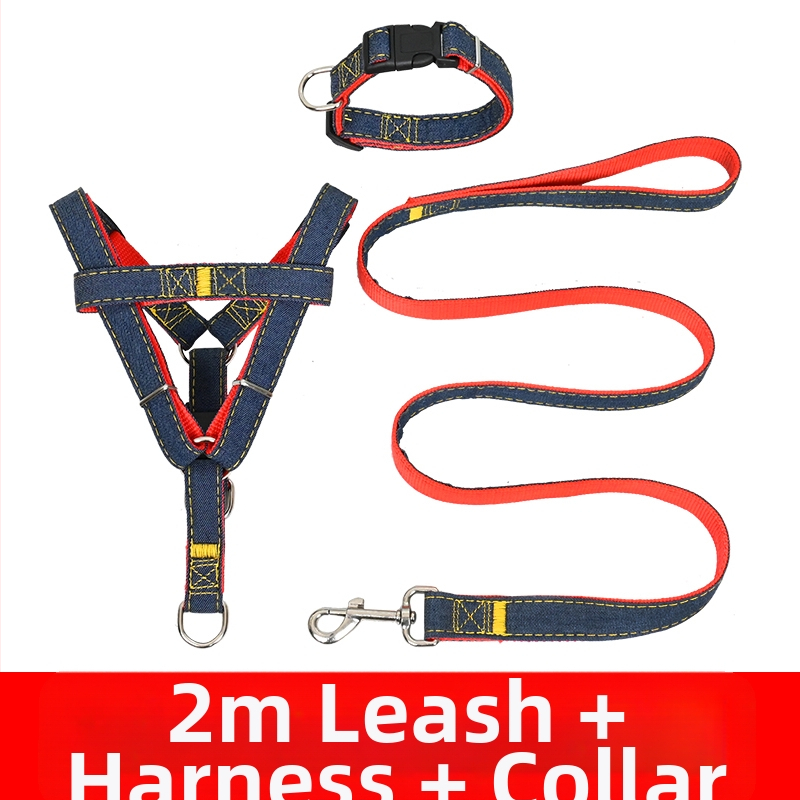 Koerarihm Suurtele Keskmistele Väikestele Koertele Kett Koerakaelarihm Teddy Kuldse Retriiveri Koerale Jalutusnöör Lemmikloomatarbed