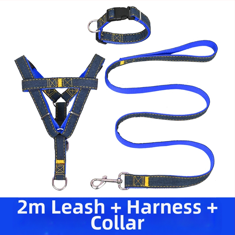 Koerarihm Suurtele Keskmistele Väikestele Koertele Kett Koerakaelarihm Teddy Kuldse Retriiveri Koerale Jalutusnöör Lemmikloomatarbed