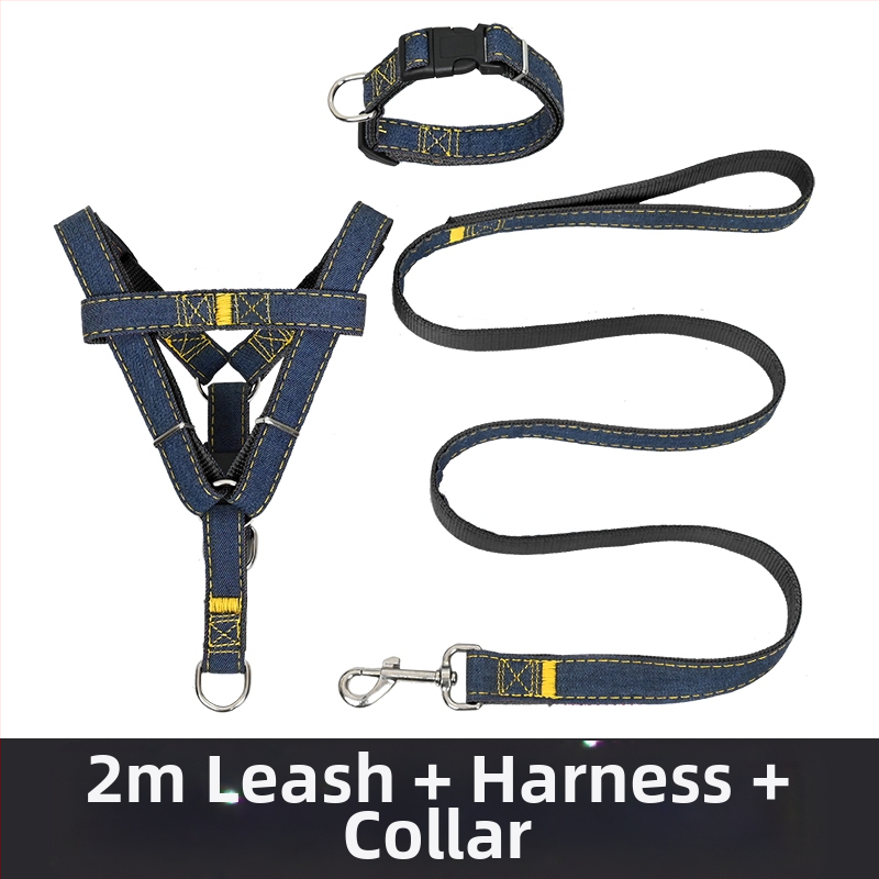 Koerarihm Suurtele Keskmistele Väikestele Koertele Kett Koerakaelarihm Teddy Kuldse Retriiveri Koerale Jalutusnöör Lemmikloomatarbed