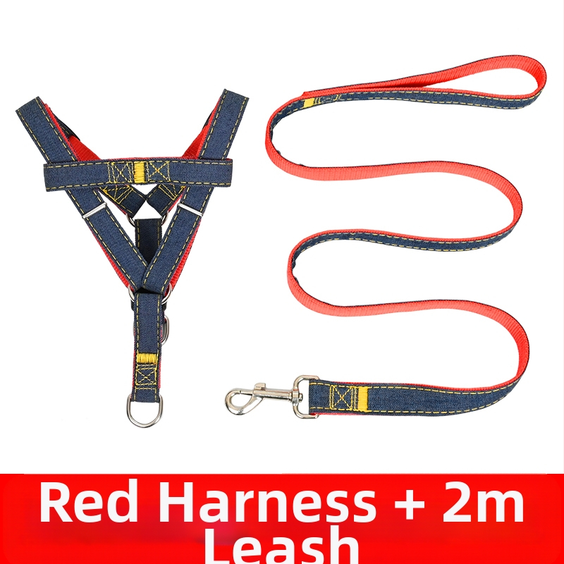 Koerarihm Suurtele Keskmistele Väikestele Koertele Kett Koerakaelarihm Teddy Kuldse Retriiveri Koerale Jalutusnöör Lemmikloomatarbed