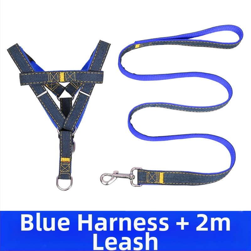 Koerarihm Suurtele Keskmistele Väikestele Koertele Kett Koerakaelarihm Teddy Kuldse Retriiveri Koerale Jalutusnöör Lemmikloomatarbed