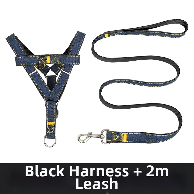 Koerarihm Suurtele Keskmistele Väikestele Koertele Kett Koerakaelarihm Teddy Kuldse Retriiveri Koerale Jalutusnöör Lemmikloomatarbed