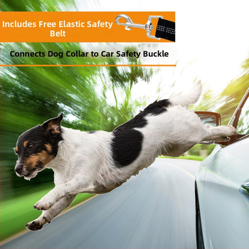 Διασυνοριακό κλουβί αυτοκινήτου για σκύλους Ειδικό αποσπώμενο κλουβί αυτοκινήτου για κατοικίδια Φορητό κάθισμα συνοδηγού για σκύλους