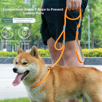 Άμεσες πωλήσεις εργοστασίων για λουρί σκύλου γενικής χρήσης P-Chain, αντιεκρηκτικό, αντιθραυστικό, εργαλείο βόλτας σκύλου, χονδρική πώληση ειδών κατοικίδιων ζώων, φορητό