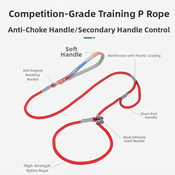 Άμεσες πωλήσεις εργοστασίων για λουρί σκύλου γενικής χρήσης P-Chain, αντιεκρηκτικό, αντιθραυστικό, εργαλείο βόλτας σκύλου, χονδρική πώληση ειδών κατοικίδιων ζώων, φορητό