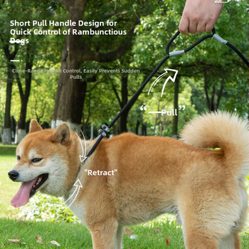 Άμεσες πωλήσεις εργοστασίων για λουρί σκύλου γενικής χρήσης P-Chain, αντιεκρηκτικό, αντιθραυστικό, εργαλείο βόλτας σκύλου, χονδρική πώληση ειδών κατοικίδιων ζώων, φορητό