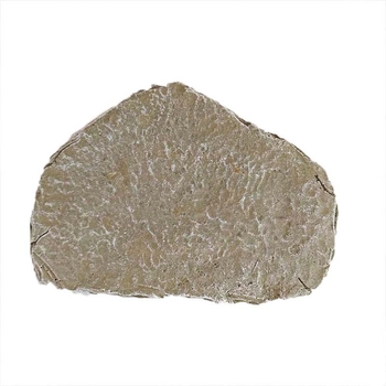 Tarpvalstybinis akmens katės šuns gyvūnų papuošalai kūrybinė dervos augintinio antkapio memorialinis akmuo sodo gyvūnų statula ornamentas