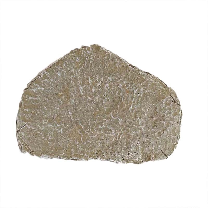 Tarpvalstybinis akmens katės šuns gyvūnų papuošalai kūrybinė dervos augintinio antkapio memorialinis akmuo sodo gyvūnų statula ornamentas