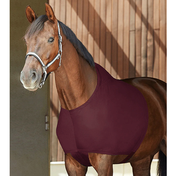 Ratsutamistarvete tootja hulgimüük. Hobuste õlapadjad, kaelapadjad, hobusevestid, elastsed hõõrdumisest tingitud kahjustuste vältimiseks, piiriülene müük.